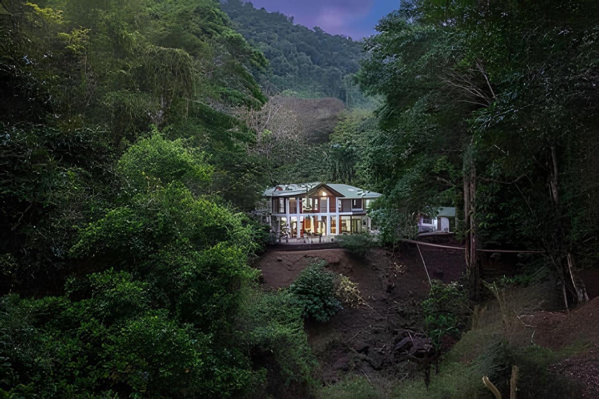 The Jungle Inn Dominicalito ภายนอก รูปภาพ