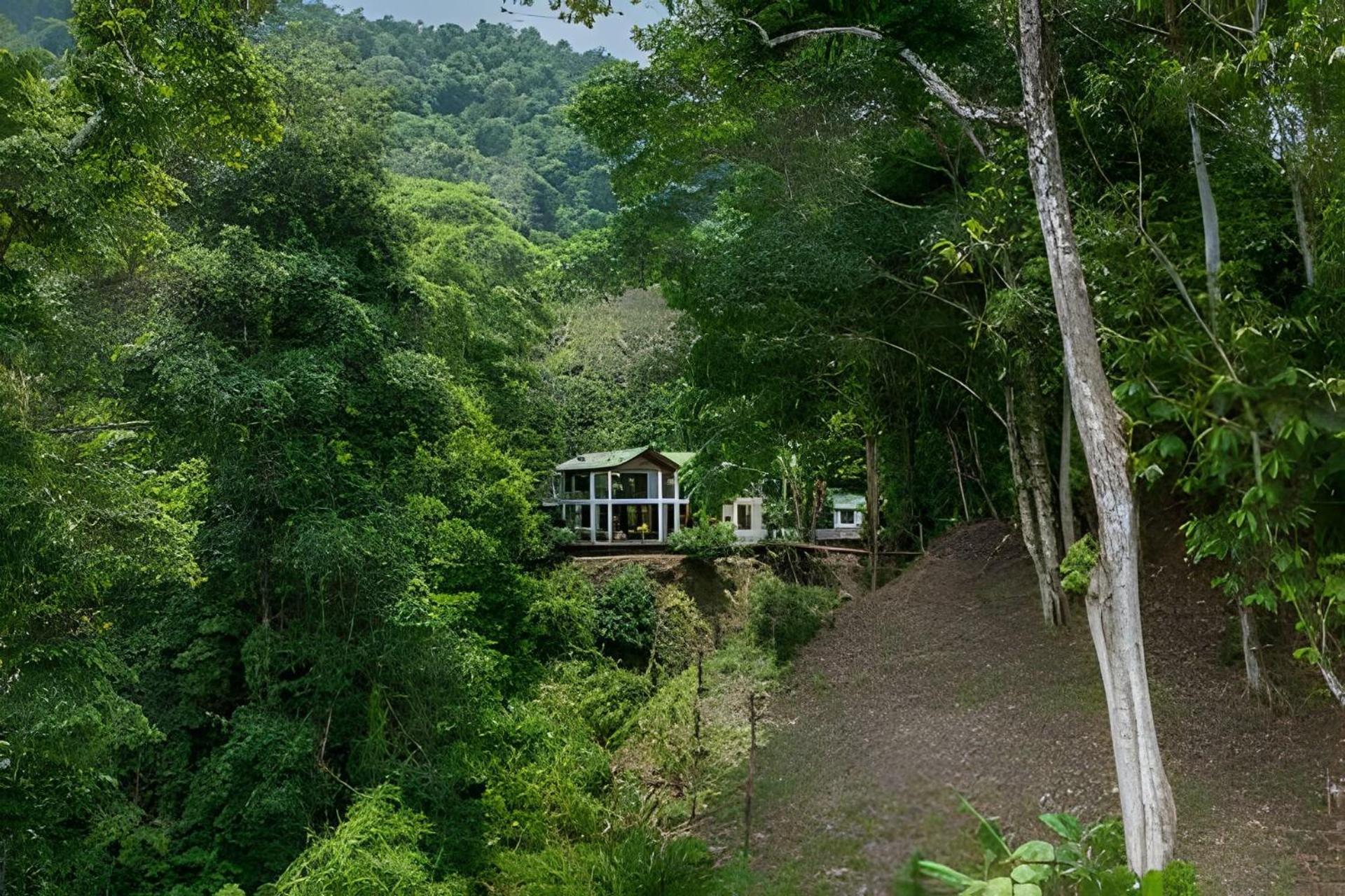 The Jungle Inn Dominicalito ภายนอก รูปภาพ