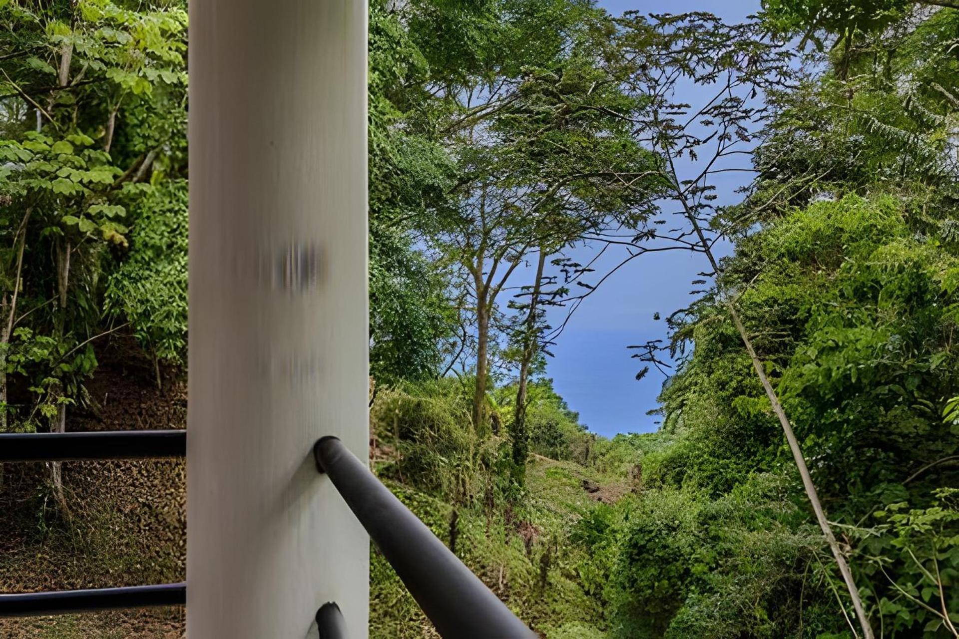 The Jungle Inn Dominicalito ภายนอก รูปภาพ